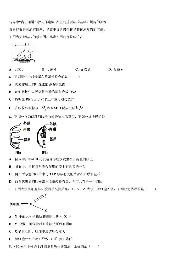 湖北省武穴2023学年高三3月份模拟考试生物试题含解析第2页