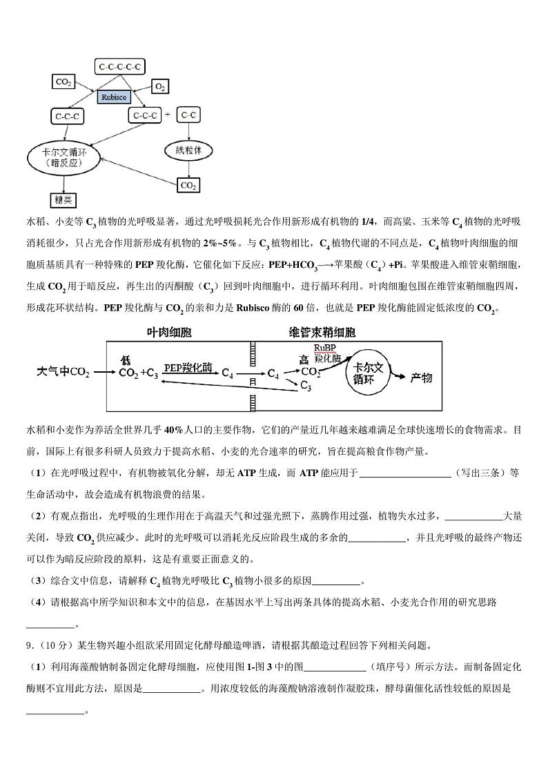陕西交大附中2023学年高三第一次模拟考试生物试卷(含解析)03