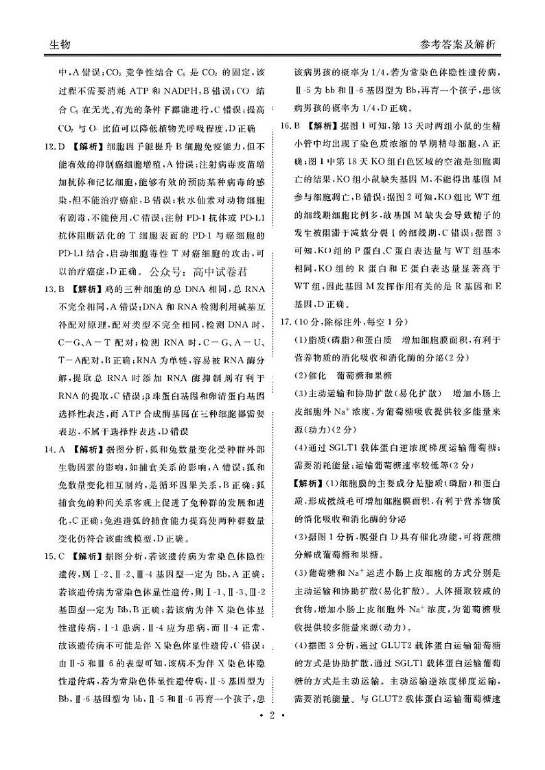 生物答案第2页
