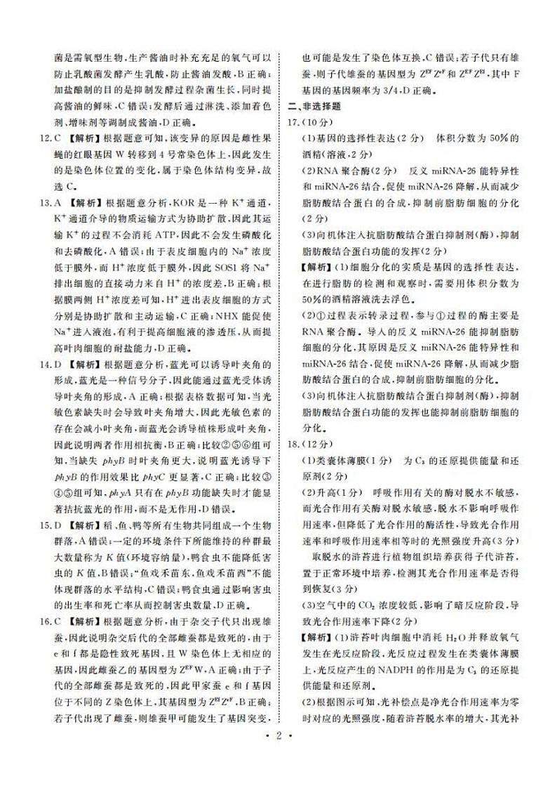 2024广东省衡水金卷高三上学期11月大联考试题生物PDF版含答案02