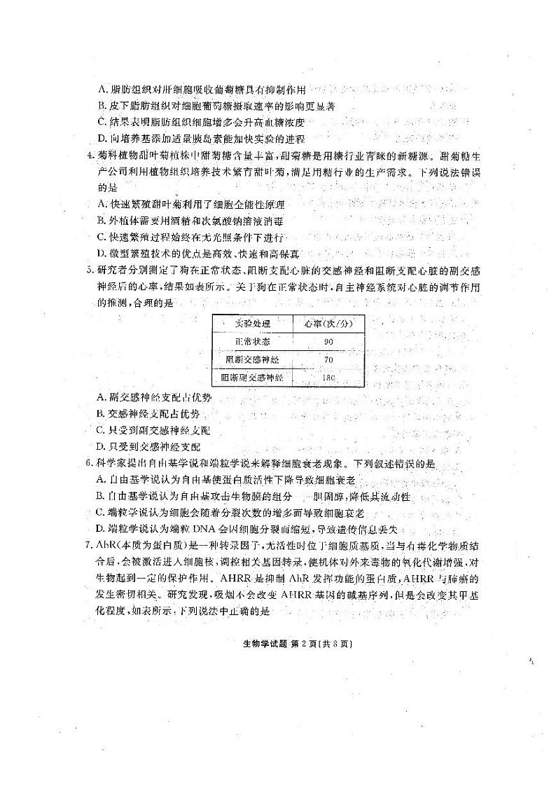 2024广东省衡水金卷高三上学期11月大联考试题生物PDF版含答案02
