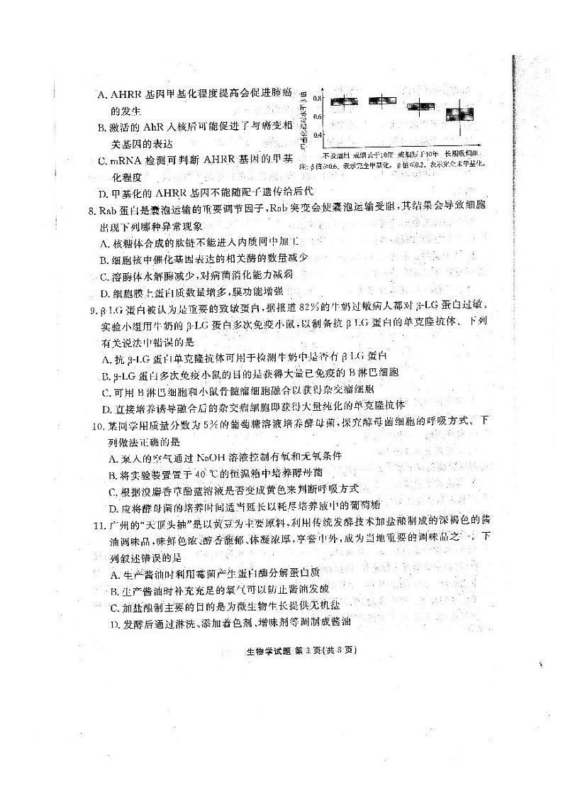 2024广东省衡水金卷高三上学期11月大联考试题生物PDF版含答案03
