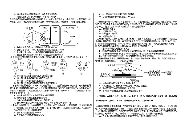 2024省大庆铁人中学高三上学期期中考试生物含答案02