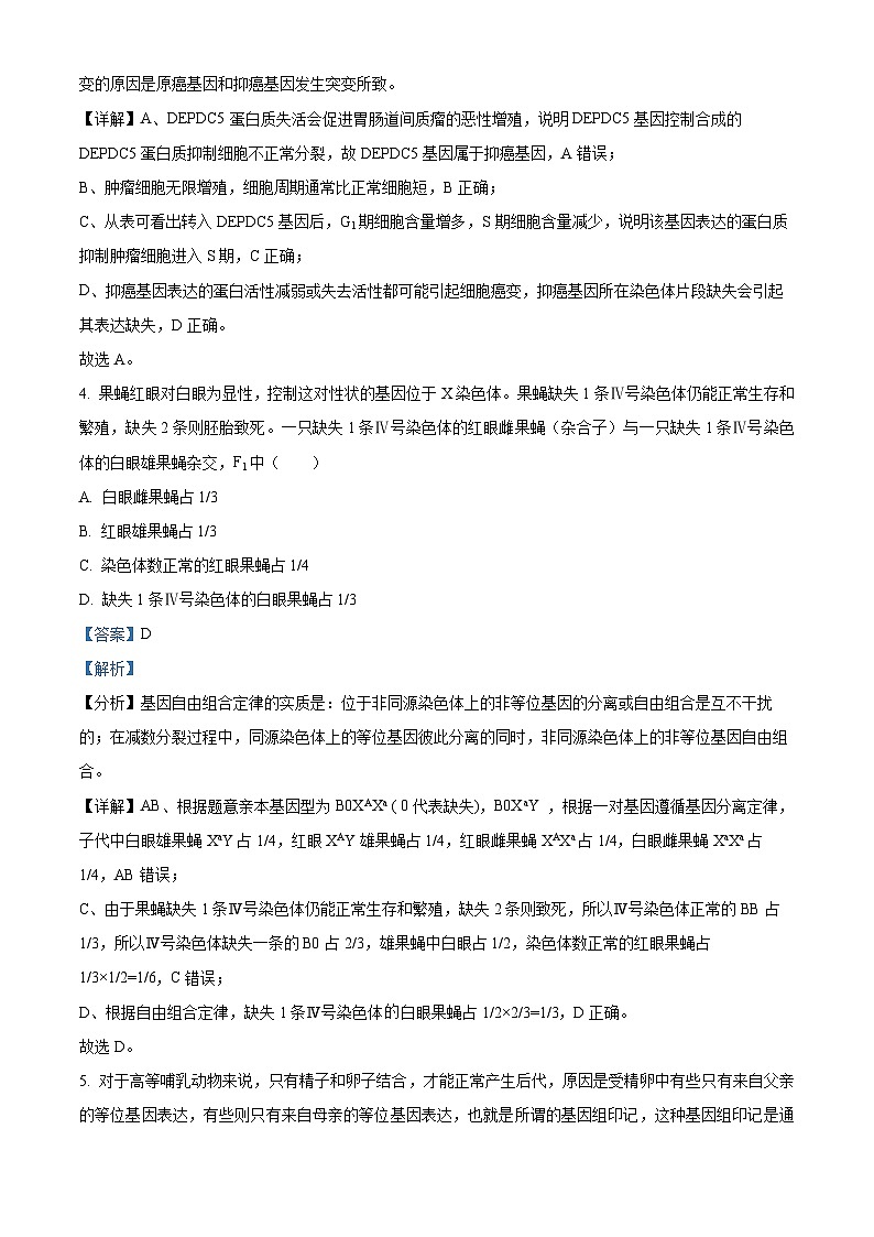 2024邵阳武冈高三上学期期中考试生物含解析03