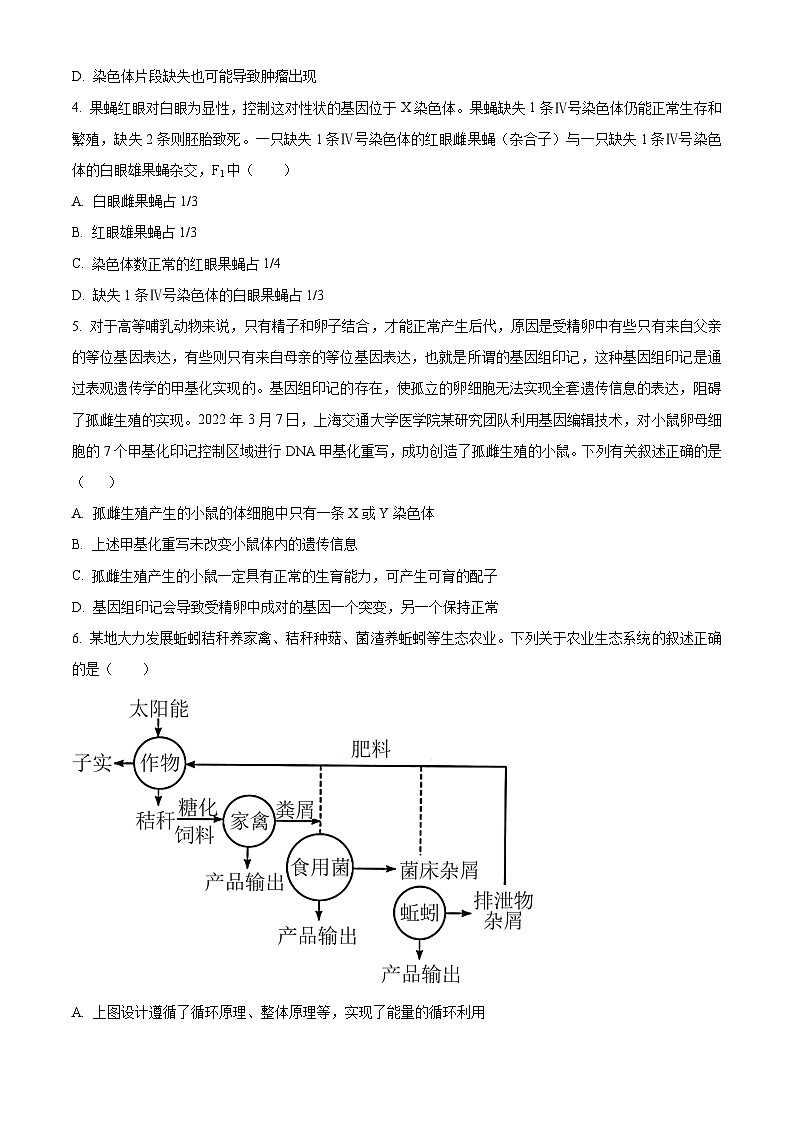2024邵阳武冈高三上学期期中考试生物含解析02