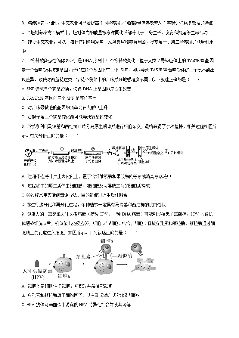 2024邵阳武冈高三上学期期中考试生物含解析03