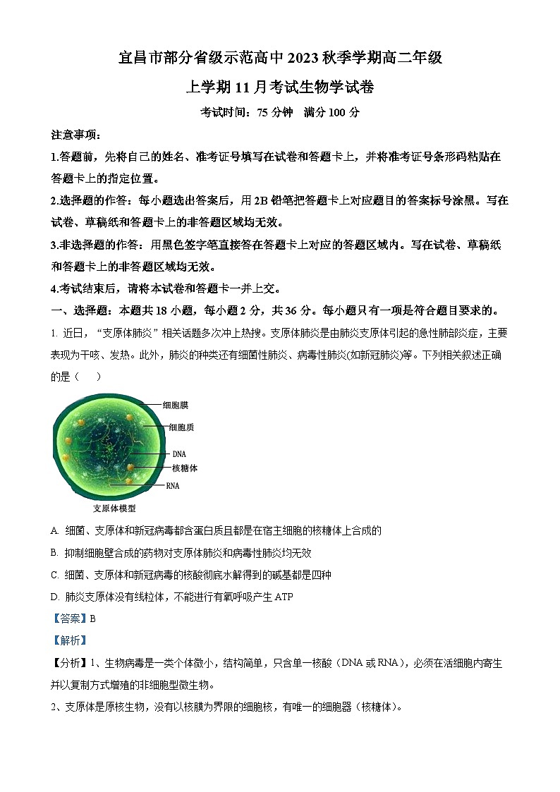 2024宜昌部分省级示范高中高二上学期11月月考生物试题含解析01