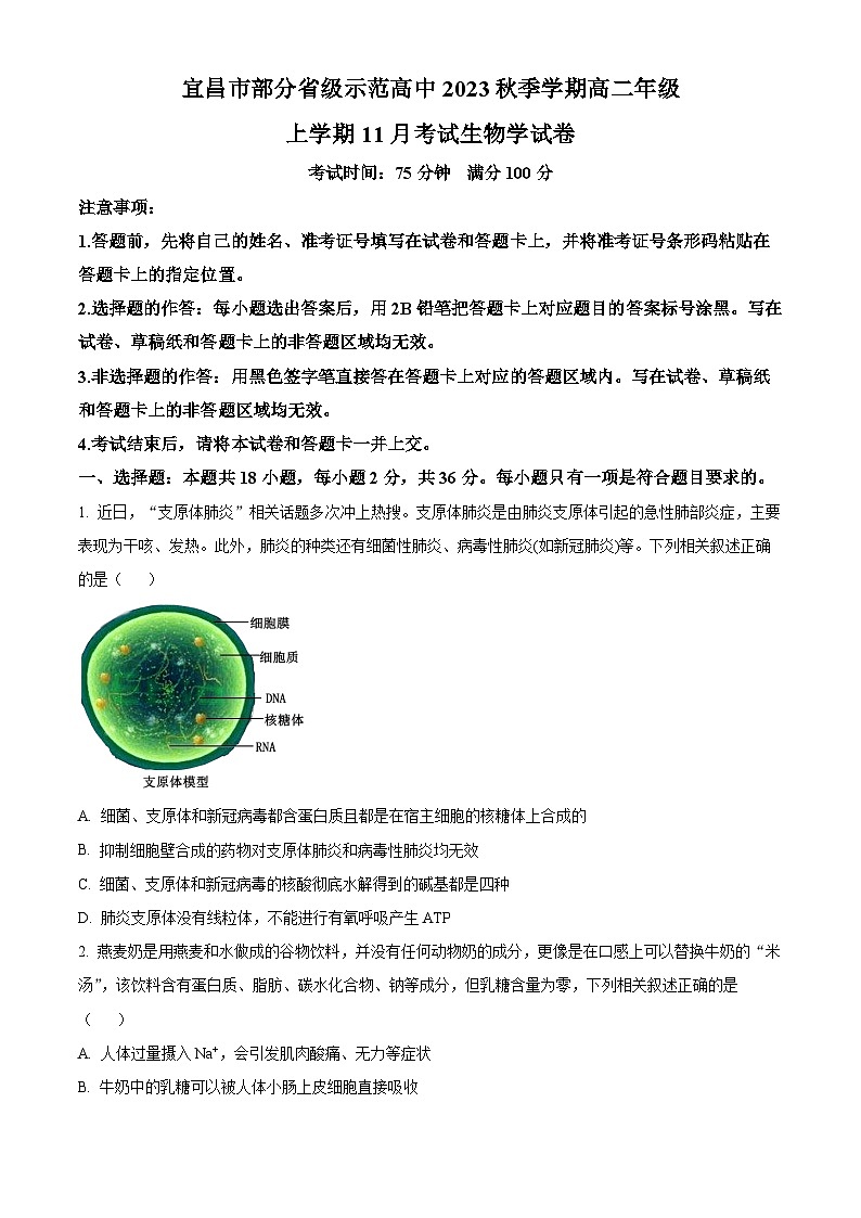 2024宜昌部分省级示范高中高二上学期11月月考生物试题含解析01