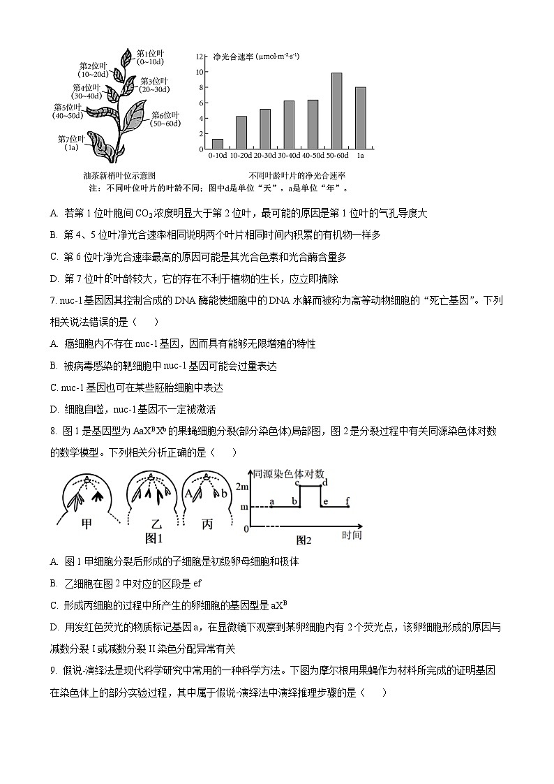 2024宜昌部分省级示范高中高二上学期11月月考生物试题含解析03