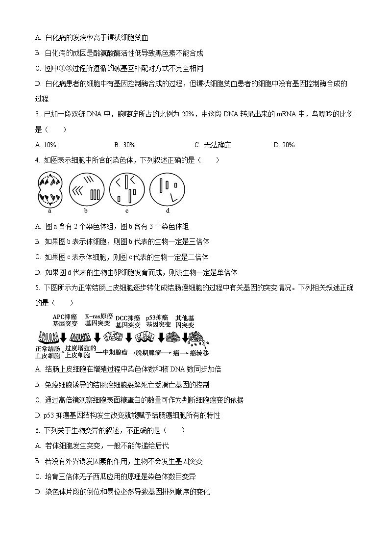 2024池州贵池区高二上学期期中考试生物含解析02