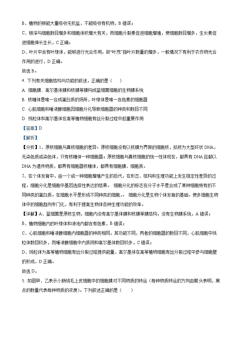 宁夏吴忠市吴忠中学2023-2024学年高三上学期开学第一次月考生物试题（Word版附解析）03