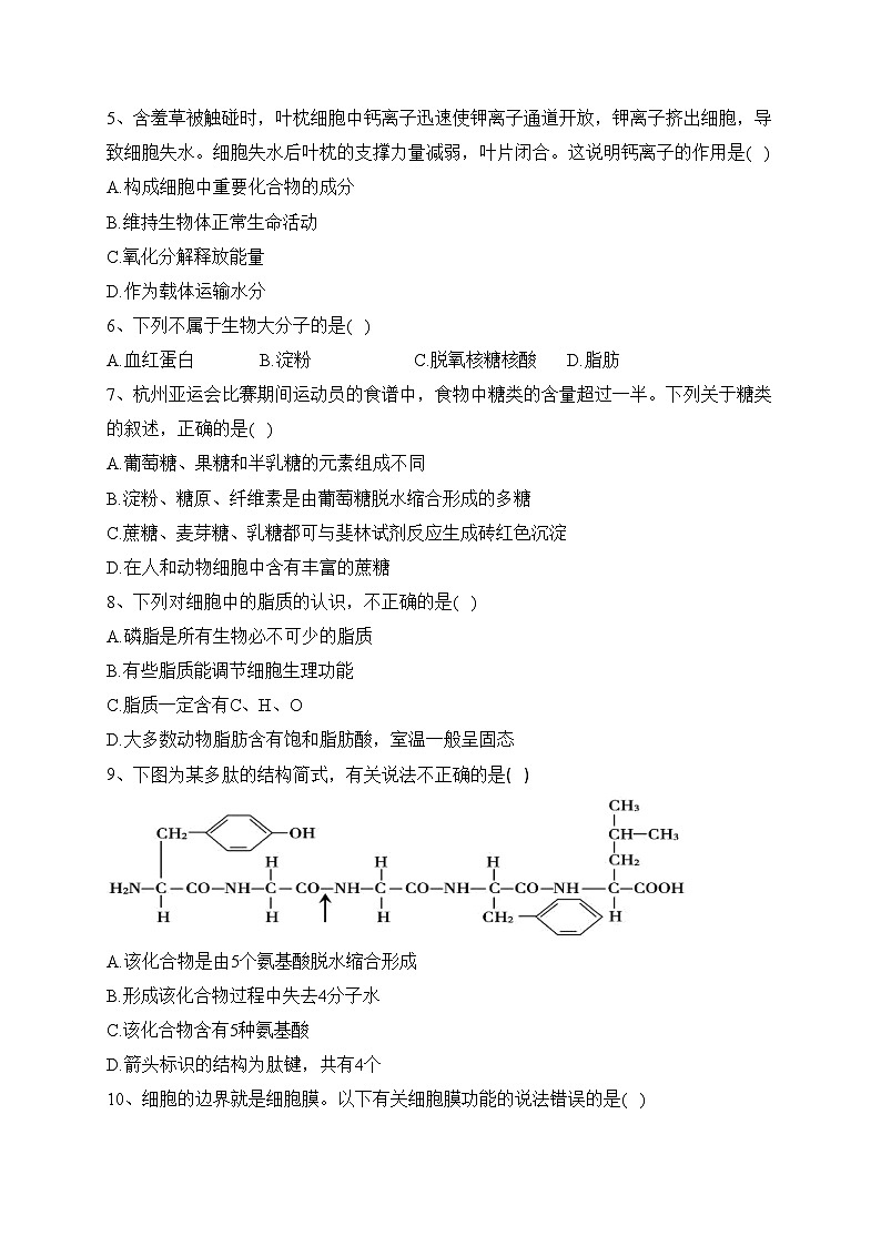 湖南省长沙市长郡中学2023-2024学年高一上学期期中生物试题(含答案)02