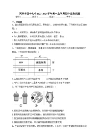 天津市四十七中2023-2024学年高一上学期期中生物试题(含答案)