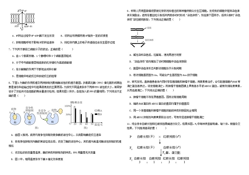 哈师大附中2021级高三第三次调研考试生物试题含答案解析02