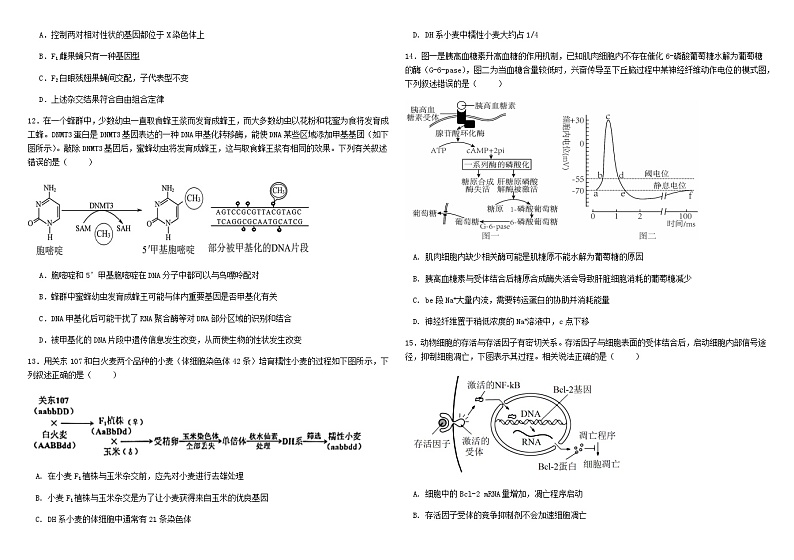 哈师大附中2021级高三第三次调研考试生物试题含答案解析03