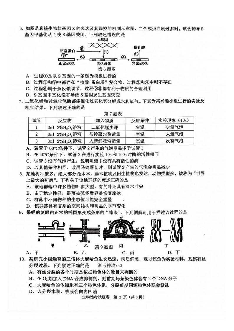 浙江稽阳联谊学校2023-2024学年高三上学期联考生物试卷（PDF版，含答案）02