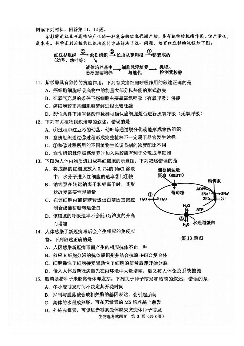 浙江稽阳联谊学校2023-2024学年高三上学期联考生物试卷（PDF版，含答案）03