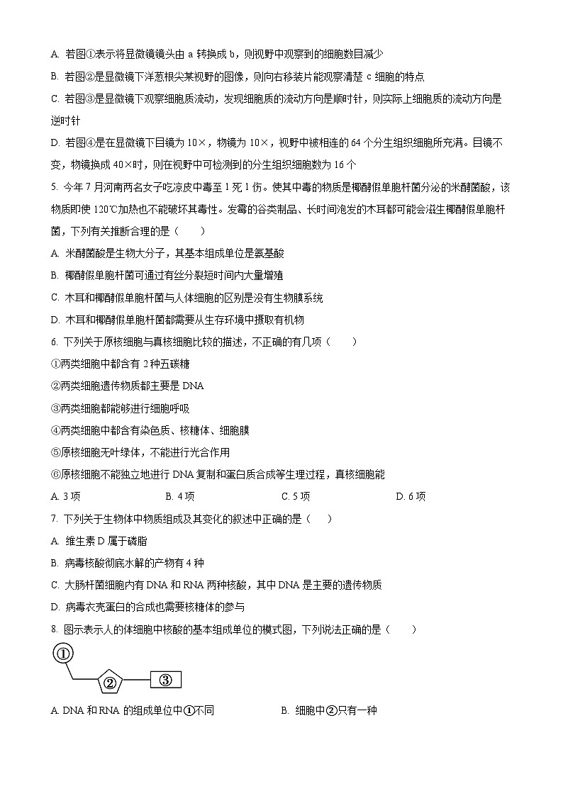 安徽省六安市一中2023-2024学年高一上学期期中生物试题无答案第2页