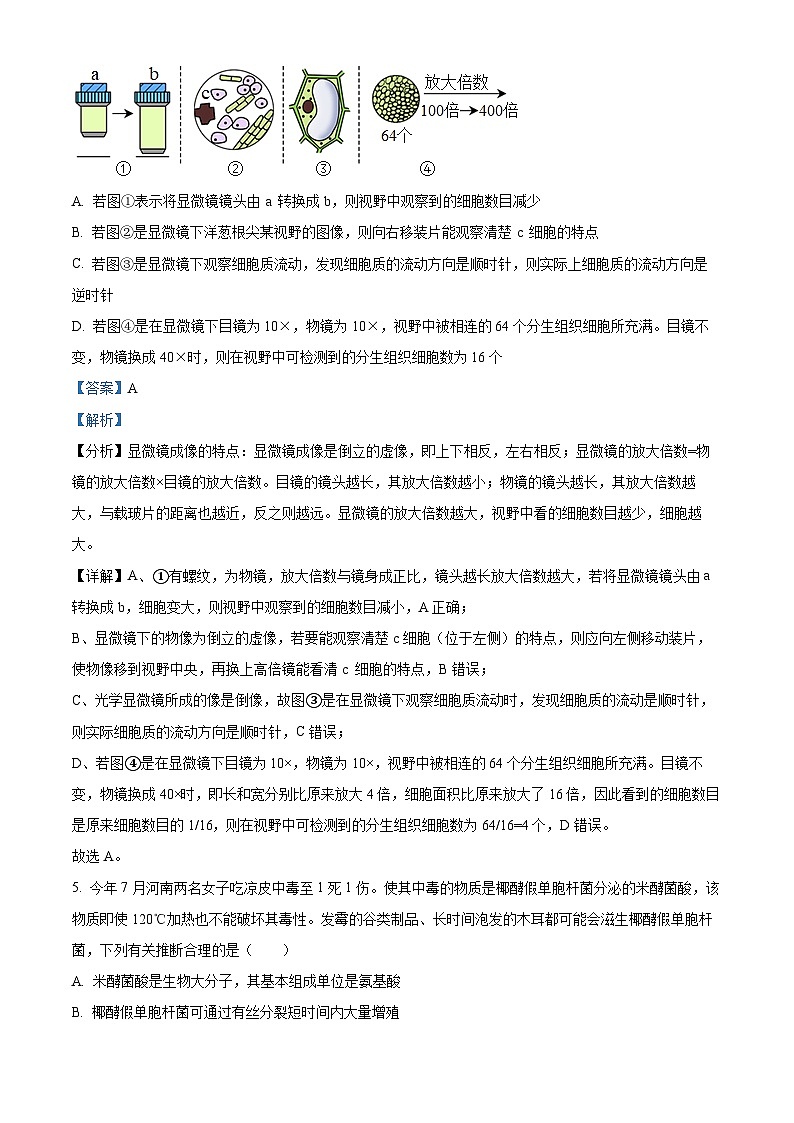 安徽省六安市一中2023-2024学年高一上学期期中生物试题含解析第3页