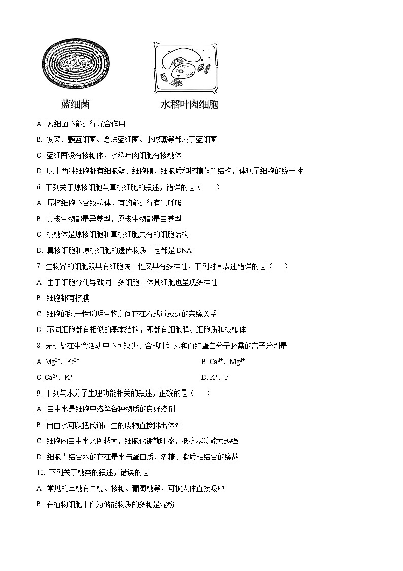 新疆维吾尔自治区乌鲁木齐市第97中学（金英外国语学校）2022-2023学年高一上学期期中生物试题无答案第2页