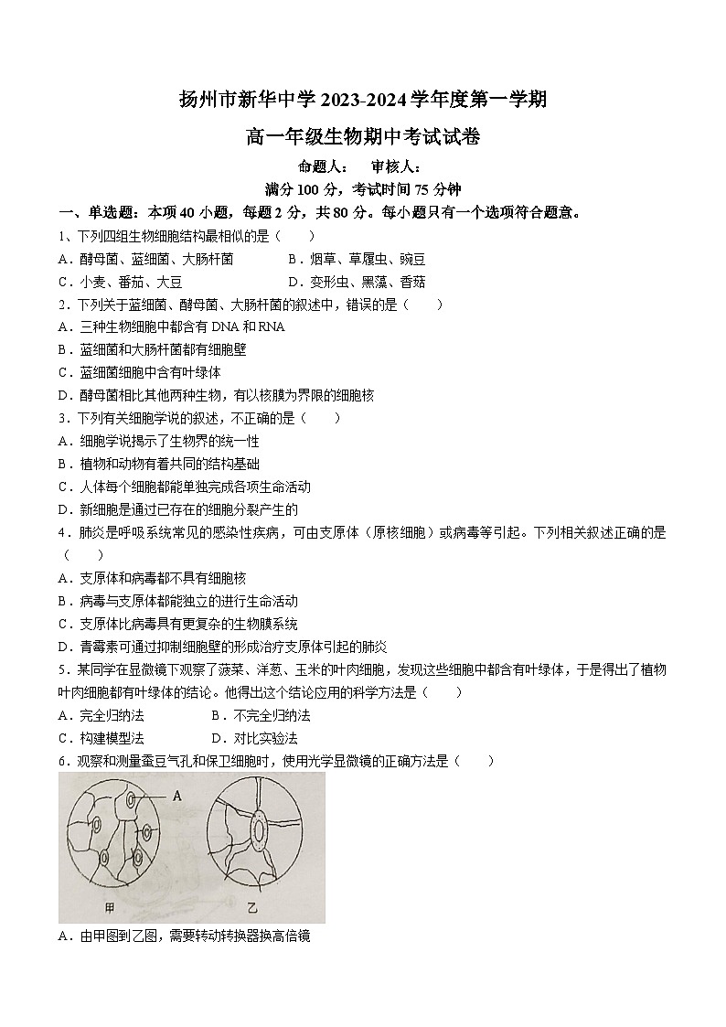 2024扬州新华中学高一上学期期中生物试题无答案01
