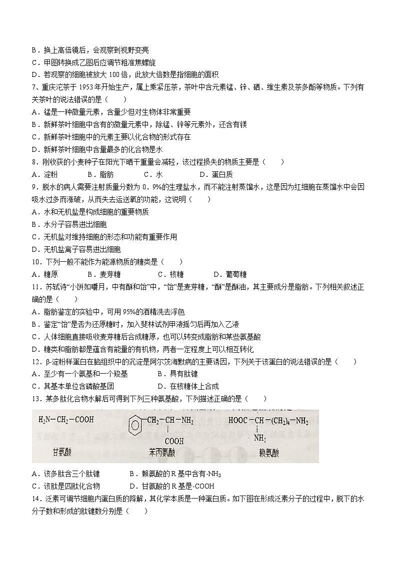 2024扬州新华中学高一上学期期中生物试题无答案02