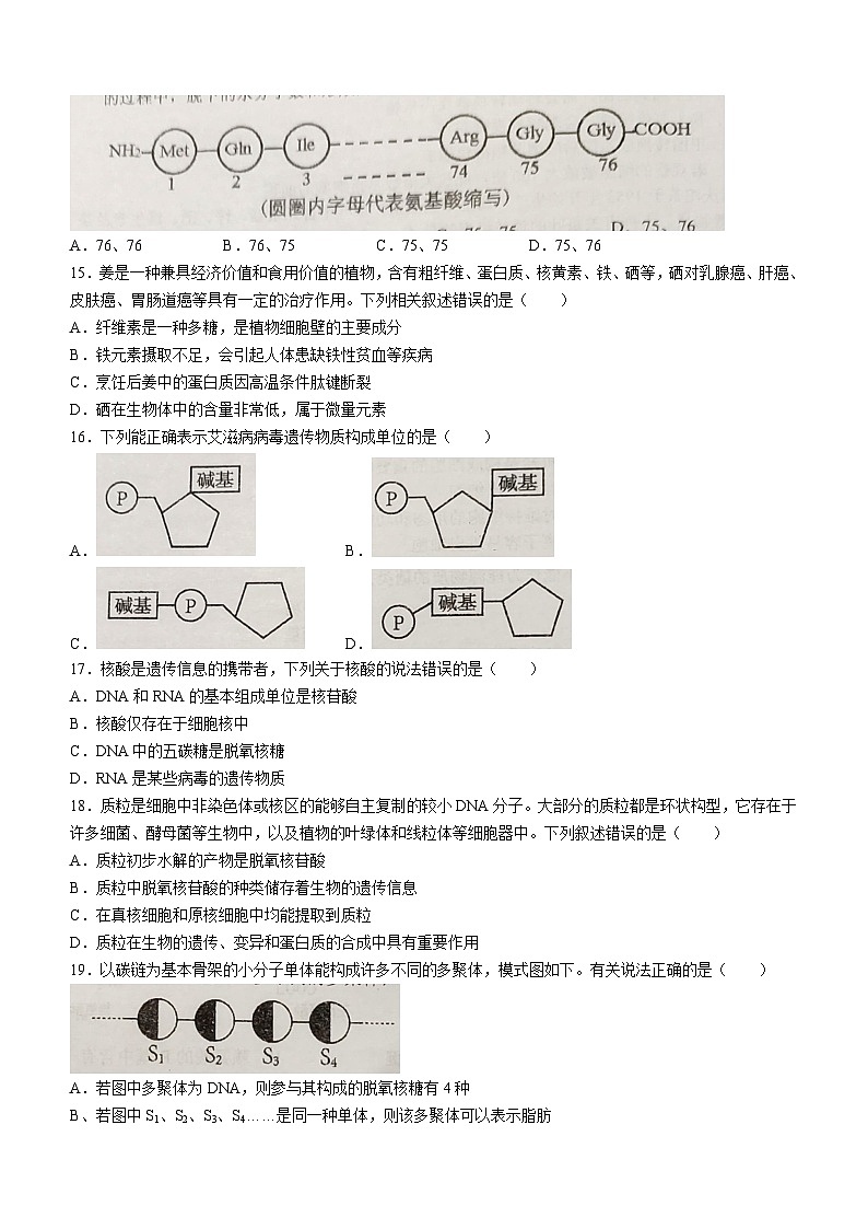 2024扬州新华中学高一上学期期中生物试题无答案03