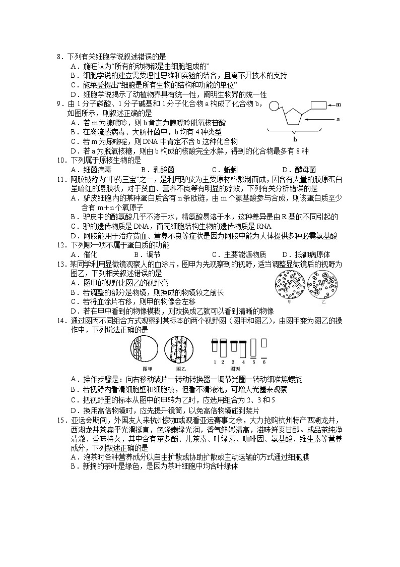 2024盐城阜宁县高一上学期期中生物试卷含答案02