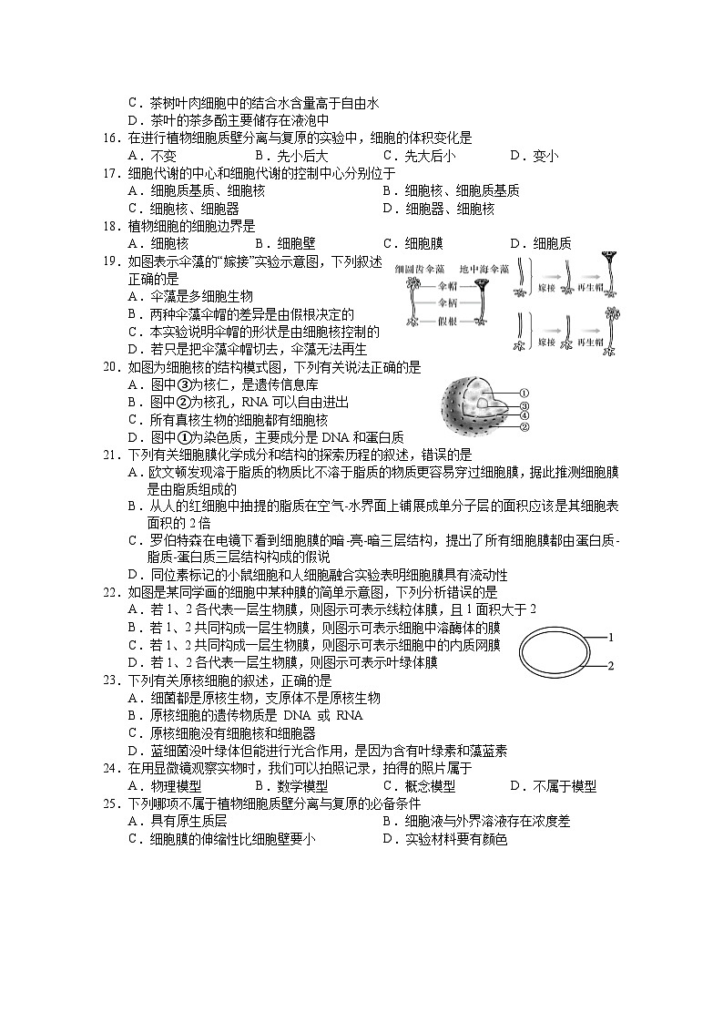 2024盐城阜宁县高一上学期期中生物试卷含答案03