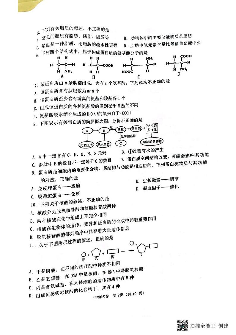 2024徐州铜山区高一上学期期中考试生物试题PDF版无答案02