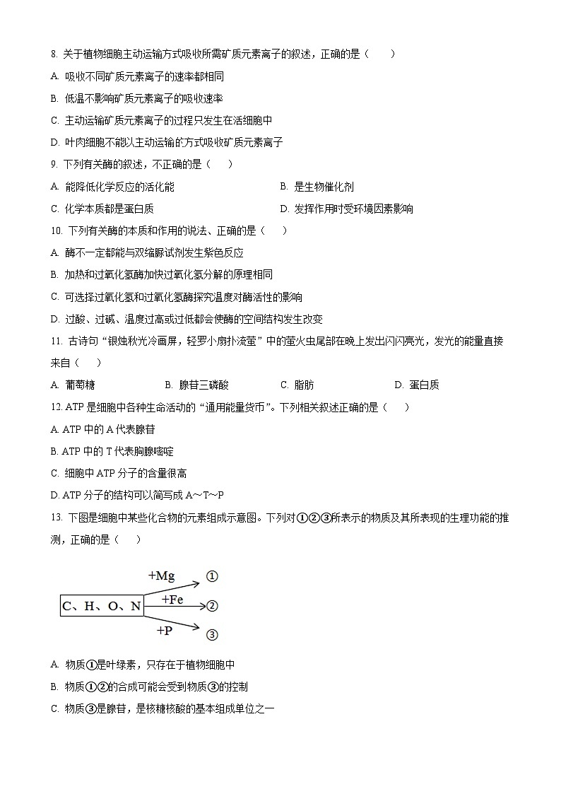 新疆维吾尔自治区喀什地区疏勒县第一中学等3校2022-2023学年高一上学期期末生物试题无答案第2页