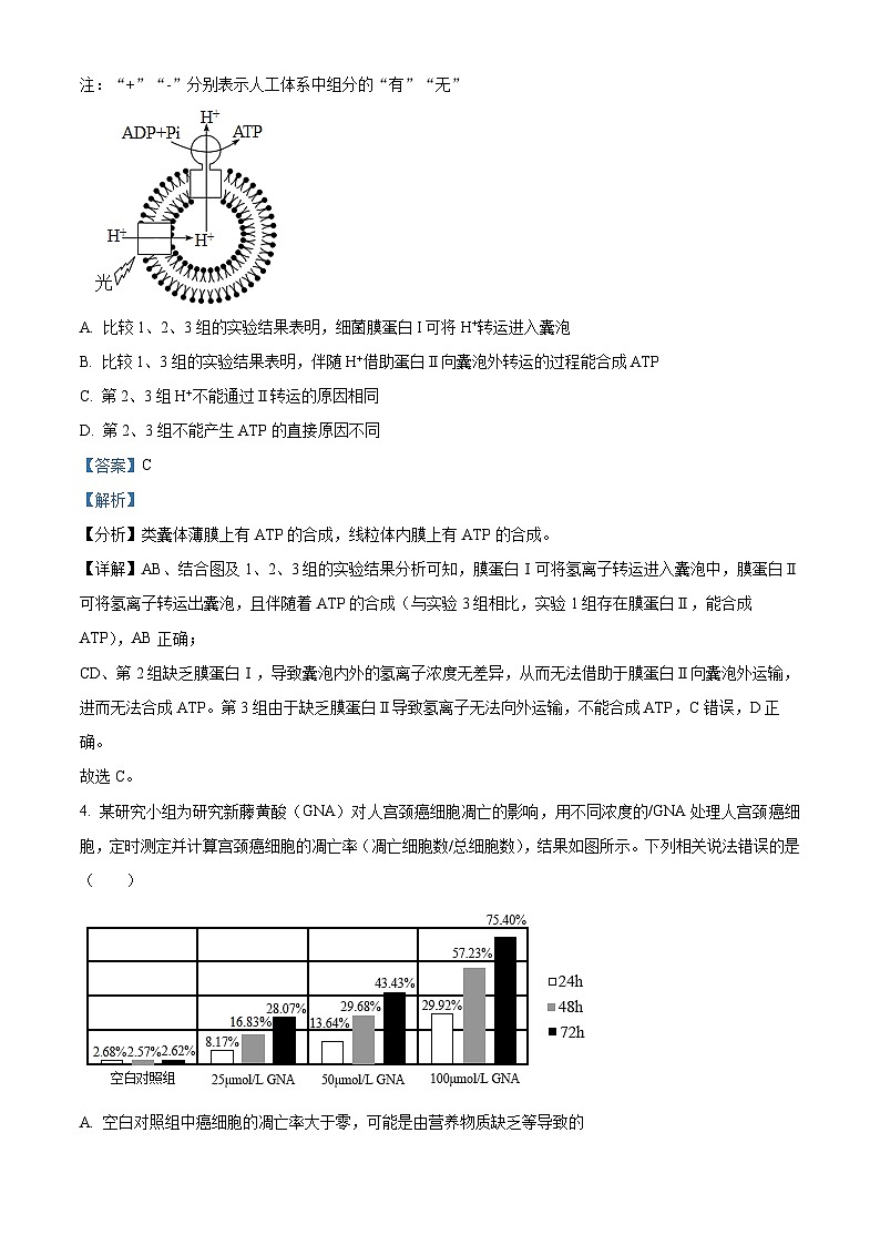 重庆市巴蜀中学2023-2024学年高三上学期期中生物试题（Word版附解析）第3页