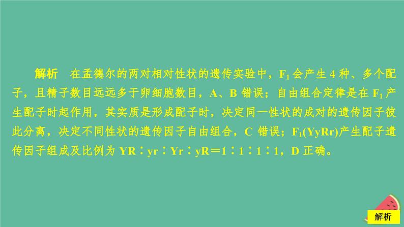 2023年新教材高中生物第1章遗传因子的发现第2节孟德尔的豌豆杂交实验二第1课时两对相对性状的杂交实验过程解释和验证课时精练课件新人教版必修2第7页