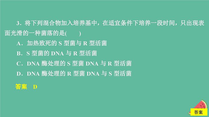 2023年新教材高中生物第3章基因的本质第1节DNA是主要的遗传物质课时精练课件新人教版必修206