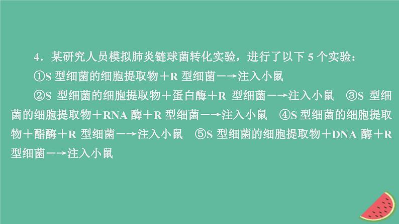 2023年新教材高中生物第3章基因的本质第1节DNA是主要的遗传物质课时精练课件新人教版必修208