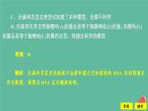 2023年新教材高中生物第3章基因的本质第2节DNA的结构课时精练课件新人教版必修2