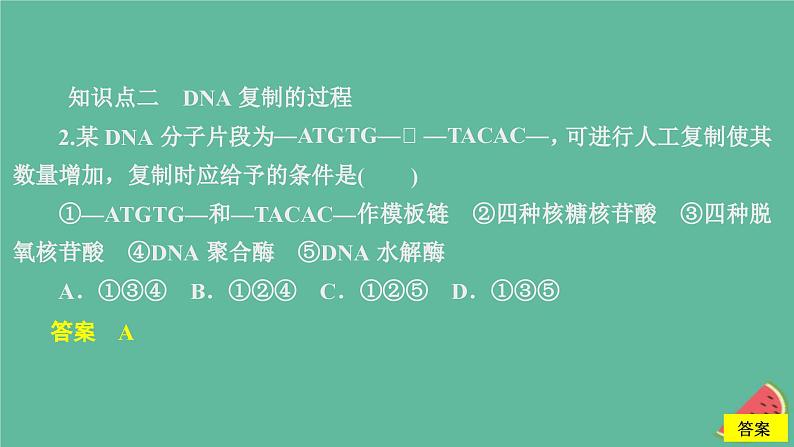 2023年新教材高中生物第3章基因的本质第4节基因通常是有遗传效应的DNA片段课时精练课件新人教版必修2第5页