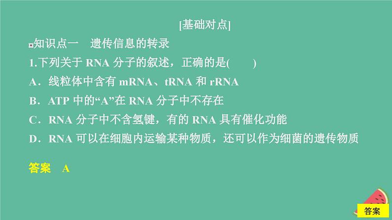 2023年新教材高中生物第4章基因的表达第1节基因指导蛋白质的合成课时精练课件新人教版必修202