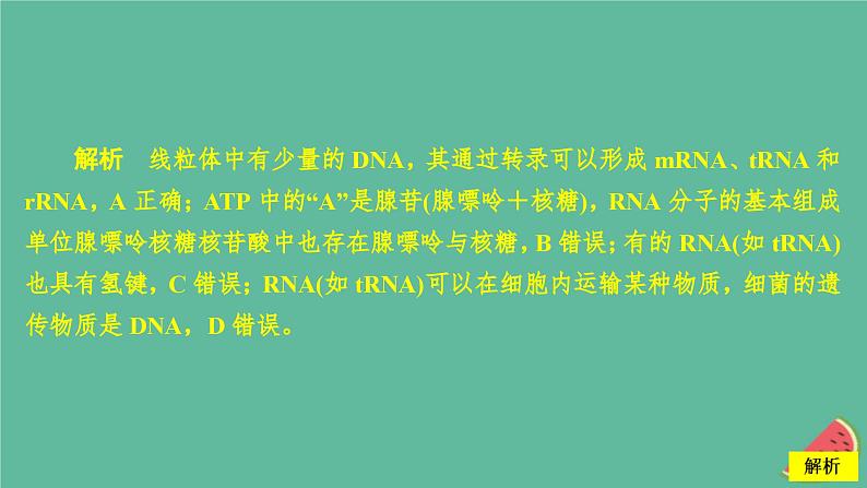 2023年新教材高中生物第4章基因的表达第1节基因指导蛋白质的合成课时精练课件新人教版必修203