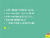 2023年新教材高中生物第4章基因的表达第1节基因指导蛋白质的合成课时精练课件新人教版必修2
