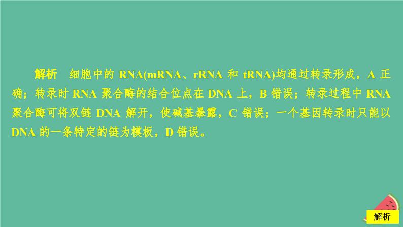 2023年新教材高中生物第4章基因的表达第1节基因指导蛋白质的合成课时精练课件新人教版必修205