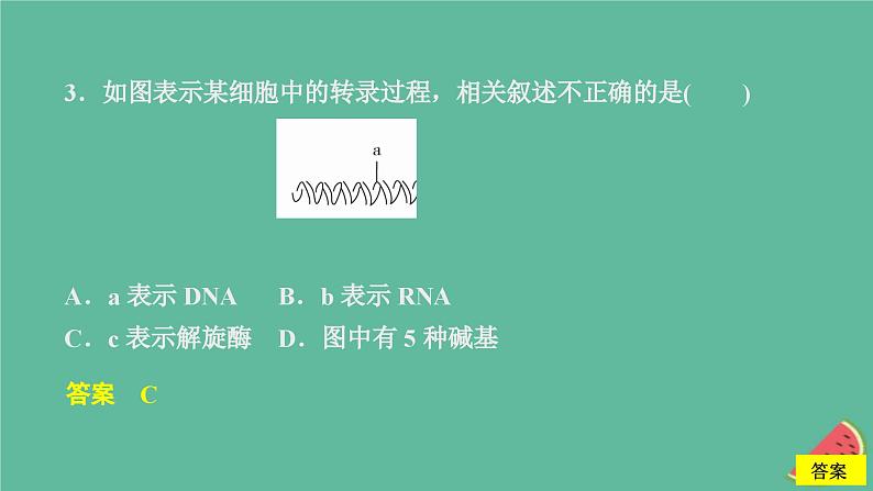 2023年新教材高中生物第4章基因的表达第1节基因指导蛋白质的合成课时精练课件新人教版必修206