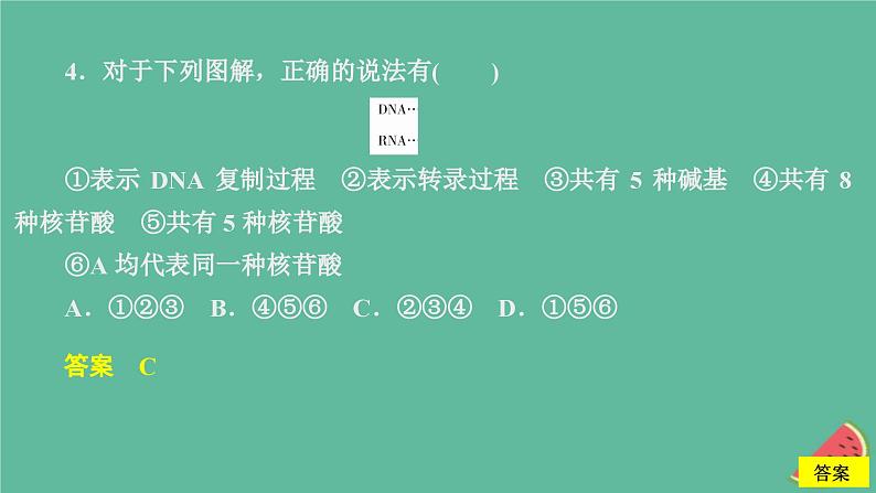 2023年新教材高中生物第4章基因的表达第1节基因指导蛋白质的合成课时精练课件新人教版必修208