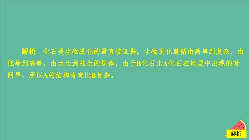 2023年新教材高中生物第6章生物的进化第1节生物有共同祖先的证据课时精练课件新人教版必修203