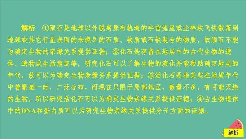 2023年新教材高中生物第6章生物的进化第1节生物有共同祖先的证据课时精练课件新人教版必修207