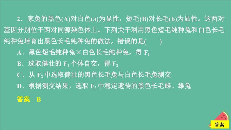 新教材2023版高中生物第1章遗传因子的发现第2节孟德尔的豌豆杂交实验二第2课时孟德尔遗传规律的应用和利用分离定律解决自由组合问题课件新人教版必修205