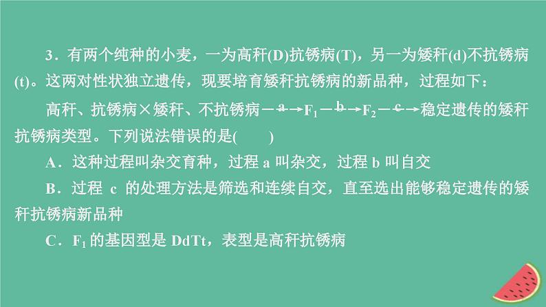 新教材2023版高中生物第1章遗传因子的发现第2节孟德尔的豌豆杂交实验二第2课时孟德尔遗传规律的应用和利用分离定律解决自由组合问题课件新人教版必修207