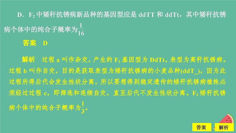 新教材2023版高中生物第1章遗传因子的发现第2节孟德尔的豌豆杂交实验二第2课时孟德尔遗传规律的应用和利用分离定律解决自由组合问题课件新人教版必修208