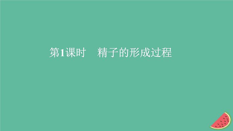 新教材2023版高中生物第2章基因和染色体的关系第1节减数分裂和受精作用第1课时精子的形成过程课件新人教版必修2第1页