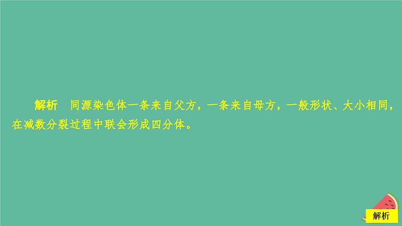 新教材2023版高中生物第2章基因和染色体的关系第1节减数分裂和受精作用第1课时精子的形成过程课件新人教版必修2第4页